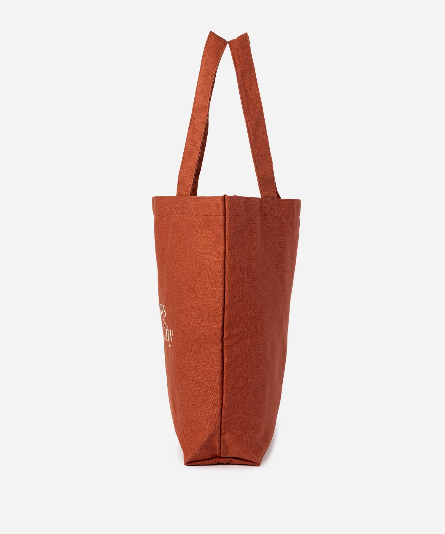 Saturdays NYC Miller Standard Tote in Brick